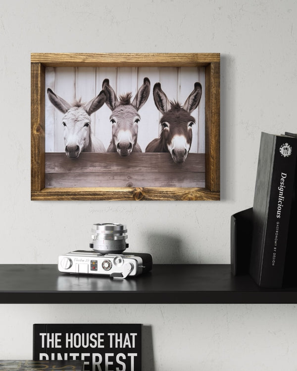 Three Donkeys at Fence Canvas Print