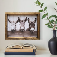 Three Donkeys at Fence Canvas Print