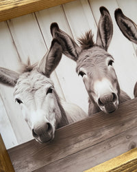 Three Donkeys at Fence Canvas Print