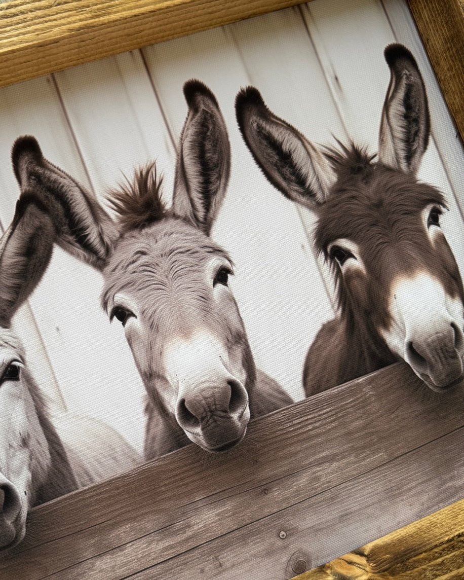 Three Donkeys at Fence Canvas Print