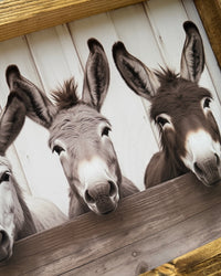 Three Donkeys at Fence Canvas Print