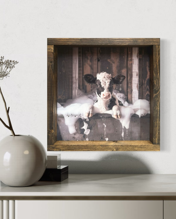 Holstein Calf in Bubble Bath Canvas Print