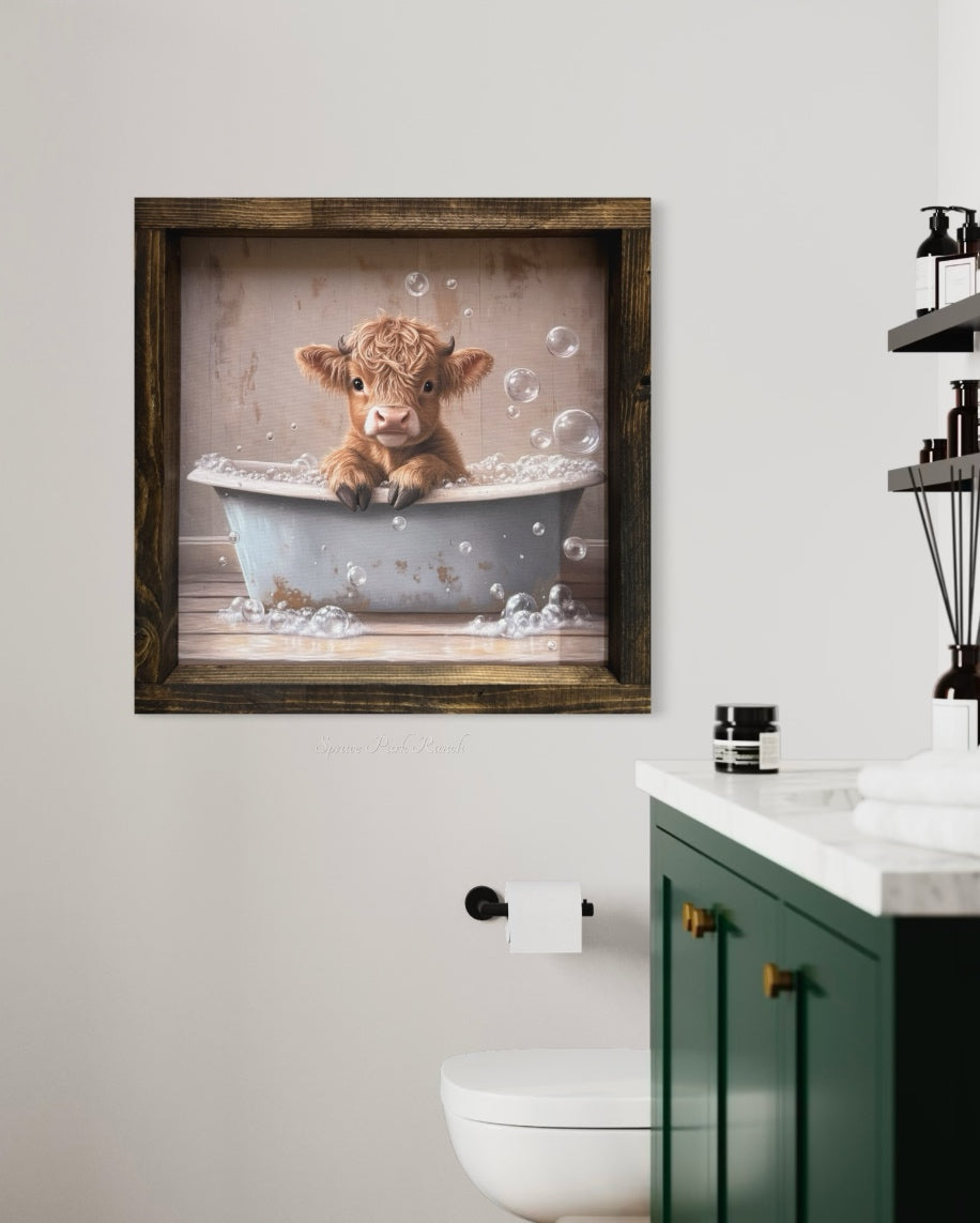 Horned Highland Calf in Blue Tub Canvas Print