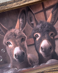 Soapy Sidekicks Canvas Print