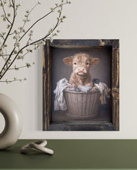 Washday Wonder Canvas Print