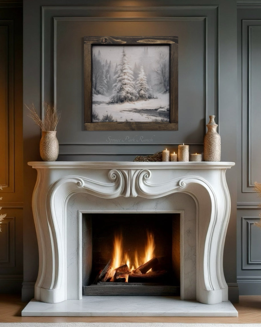 Wintershed Way Canvas Print