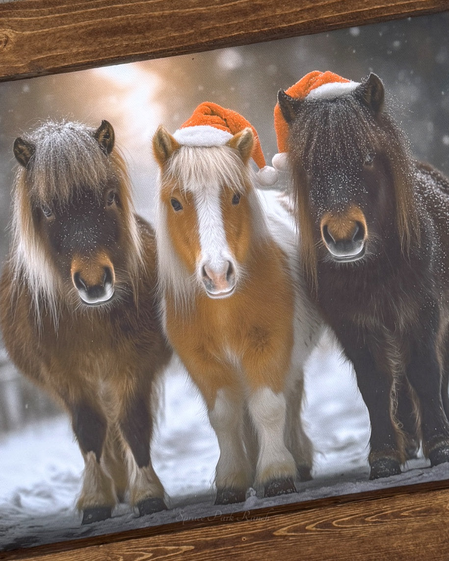 Festive Trio Canvas Print Landscape