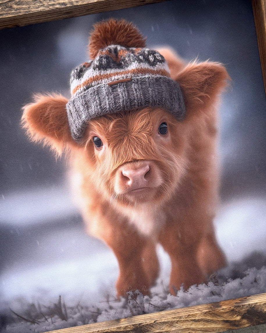 Cozy Little Calf Canvas Print