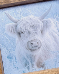 White Ember Canvas Print