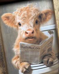 Pardon My Moo-ment Canvas Print