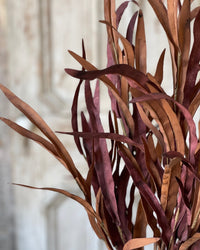 Golden Isles Rust Bush 32"