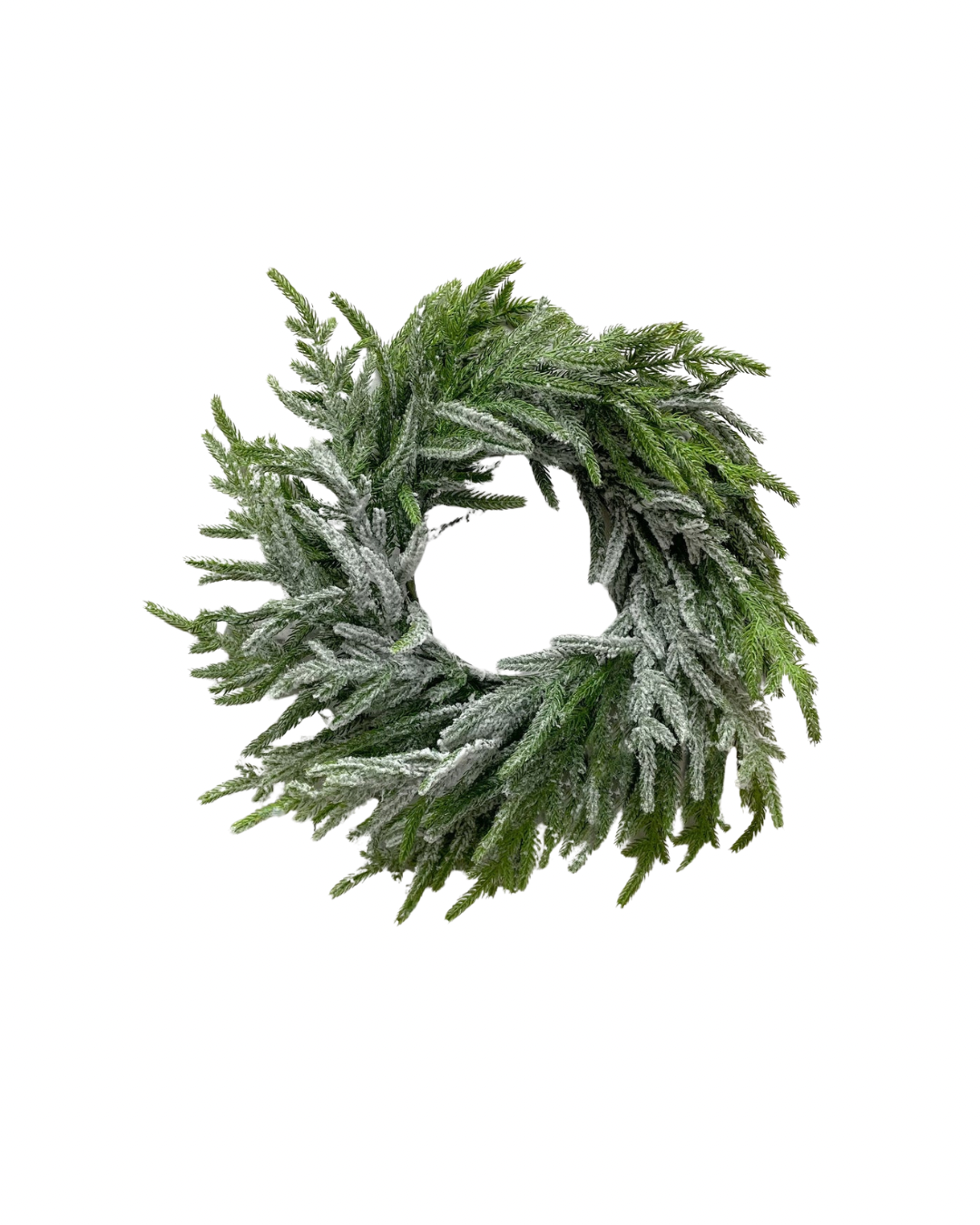 Snowy Norfolk Pine Collection Real Touch