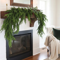 Norfolk Pine Collection Real Touch