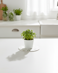 Blossom Botanical Textile Collection