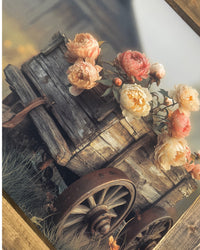 Petals on the Path Canvas Print