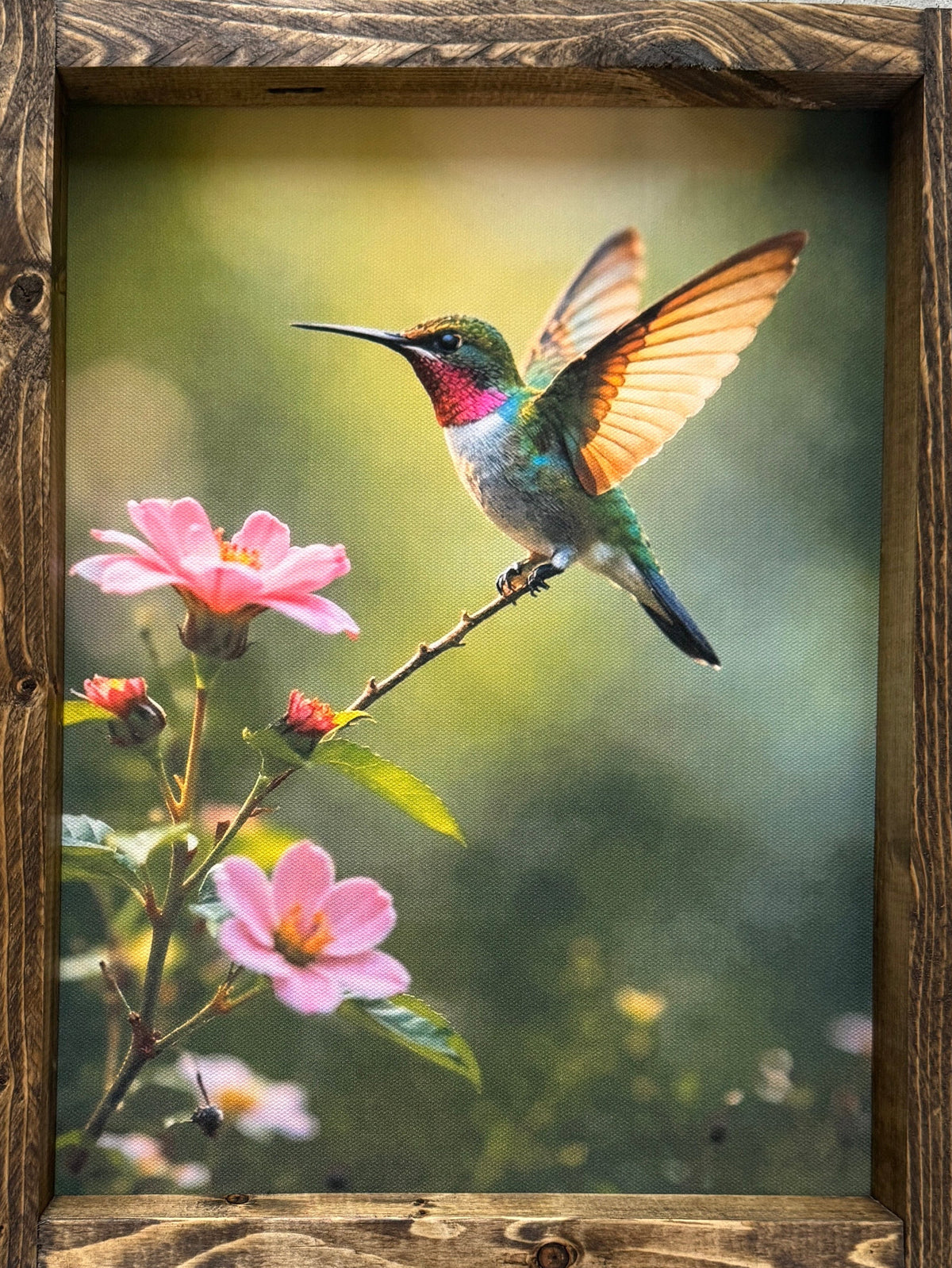 Hovering Grace Canvas Print Exclusive