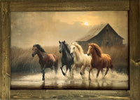 Bareback Hollow Run Canvas Print