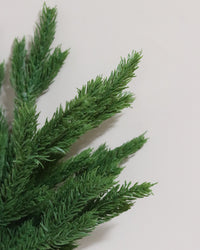 Spruce Collection Real Touch