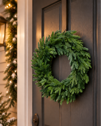 Red Spruce Collection Real Touch