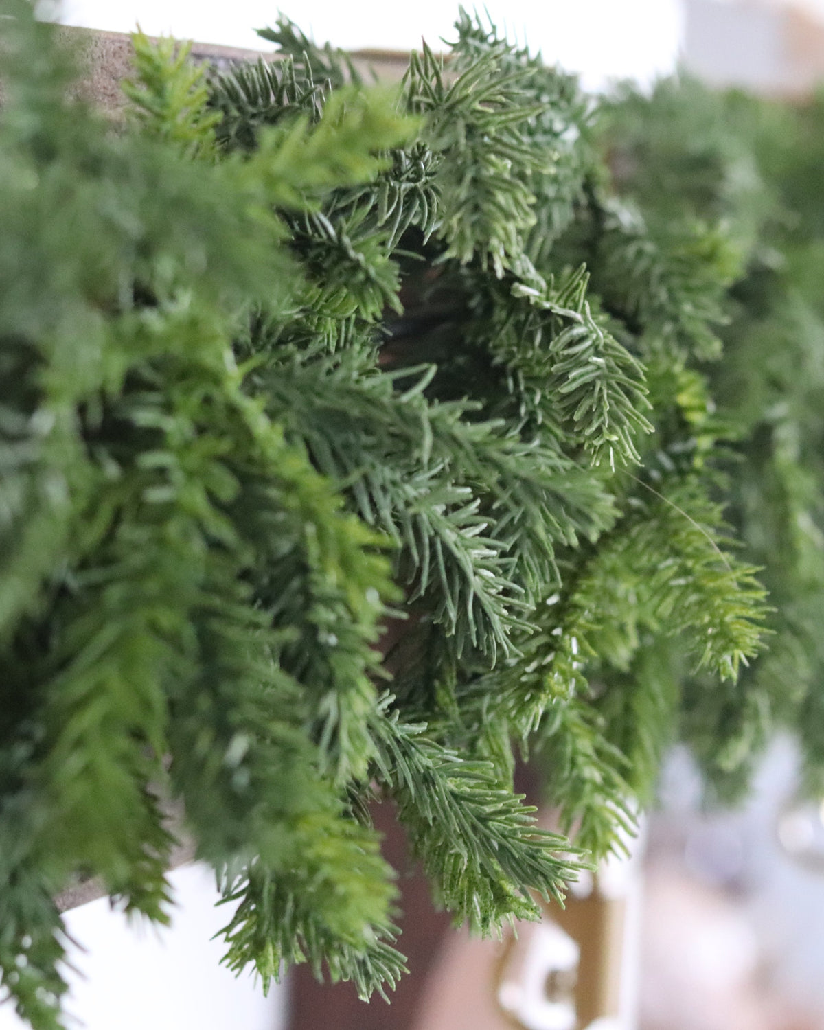 Red Spruce Collection Real Touch