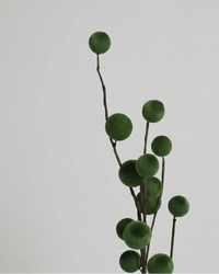 Velvet Ball Stem Green 23.5"
