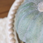 Jade Terracotta Pumpkin