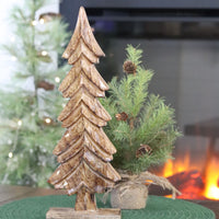 Dark Mango Wood Tree on Stand