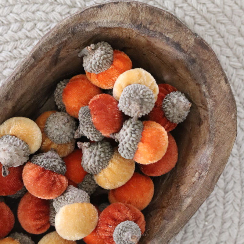 Box of Assorted Mini Velvet Acorns