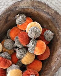 Box of Assorted Mini Velvet Acorns