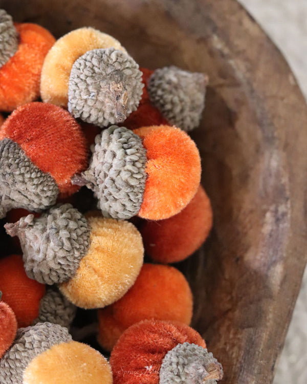 Box of Assorted Mini Velvet Acorns