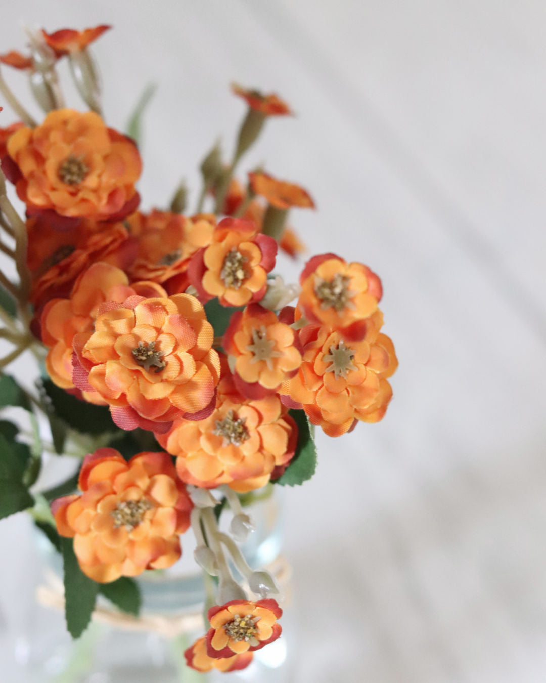 Mini Orange Primrose in Glass Vase With Faux Water