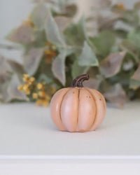 Resin Mini Pumpkin