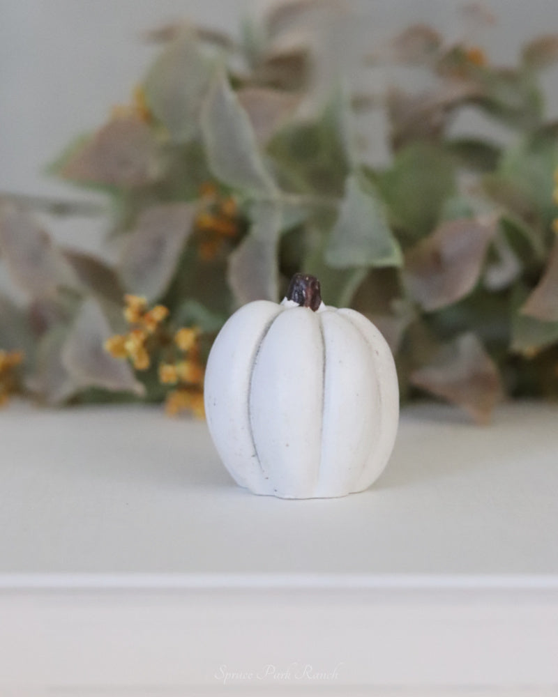 Resin Mini Pumpkin
