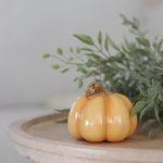 Mini Fall Resin Pumpkin