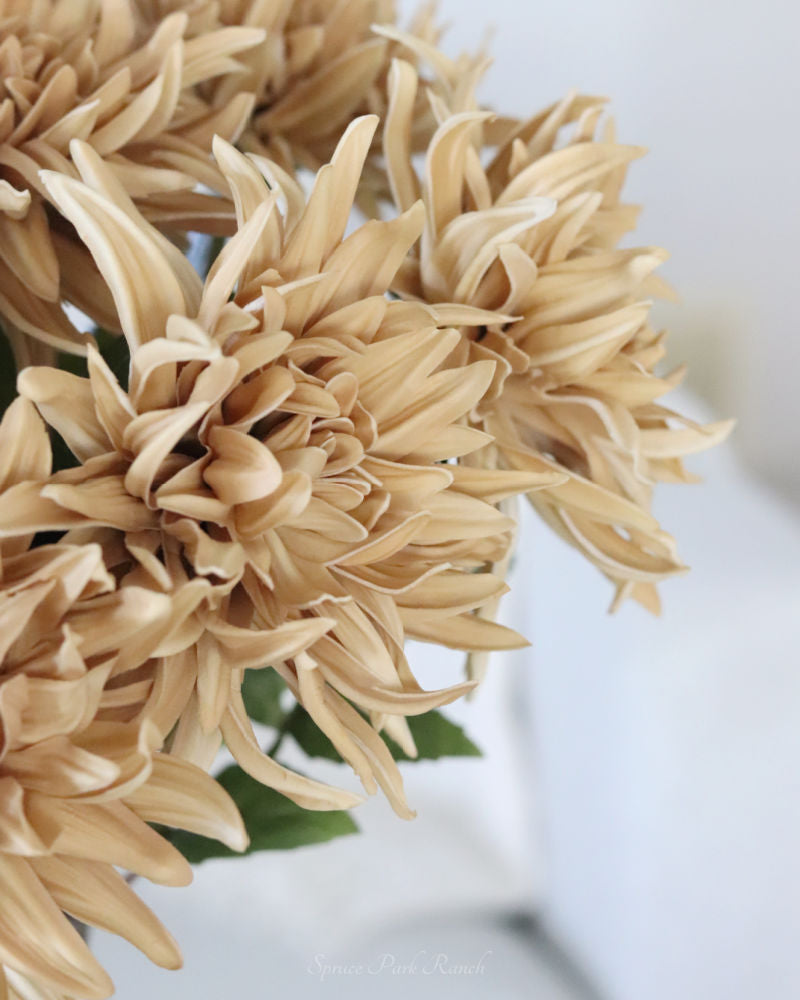 Mum Stem Tan Real Touch Large Bloom 26"