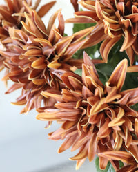 Mum Stem Brown Real Touch Large Bloom 26"