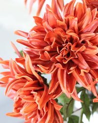 Mum Stem Orange Real Touch Large Bloom 26"