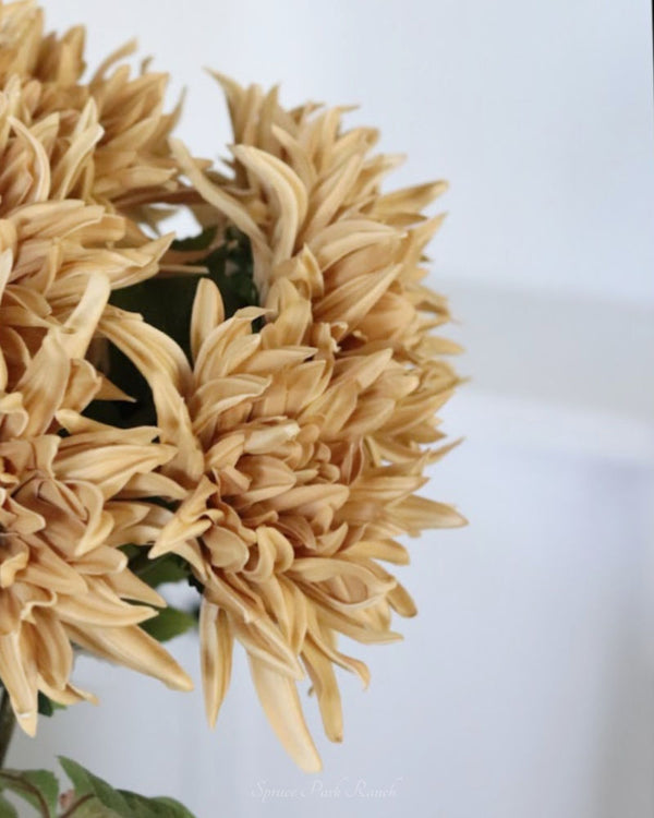 Mum Stem Tan Real Touch Large Bloom 26"