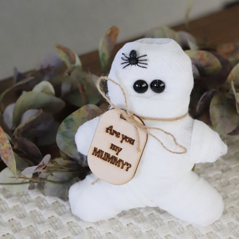 Fabric Mummy With Tag