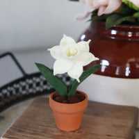 Mini Narcissus Felt Forever Flower