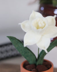 Mini Narcissus Felt Forever Flower