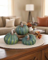 Natural Shape Green Pumpkin