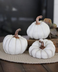 Natural Shape White Pumpkin