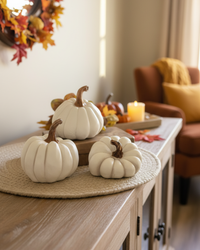 Natural Shape White Pumpkin