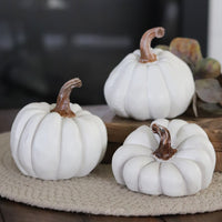 Natural Shape White Pumpkin