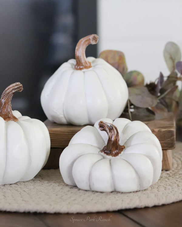 Natural Shape White Pumpkin