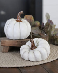 Natural Shape White Pumpkin