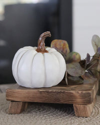 Natural Shape White Pumpkin