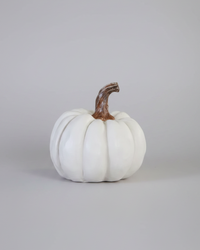 Natural Shape White Pumpkin