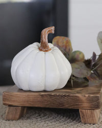 Natural Shape White Pumpkin